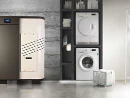 CALDERA PELLET CTL ETNA BOILER